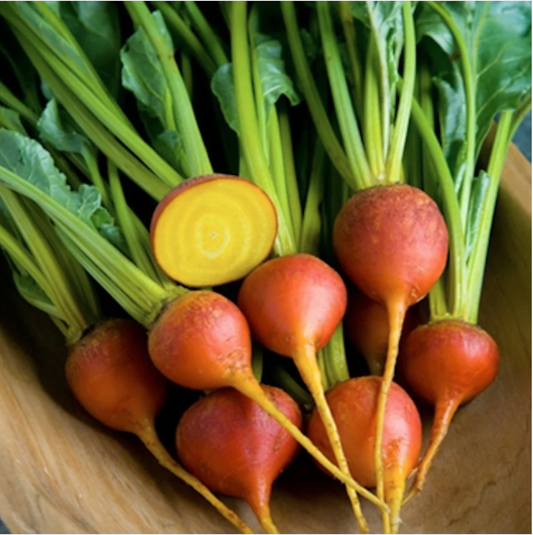 Seed Feature - Touchstone Gold Beets