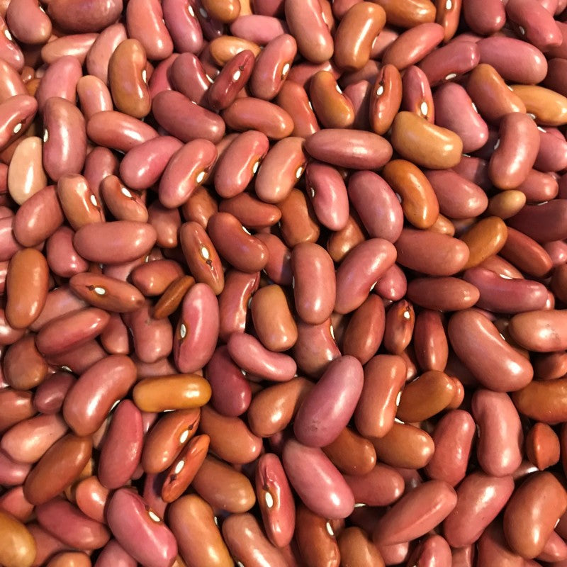 Light Red Kidney Bean