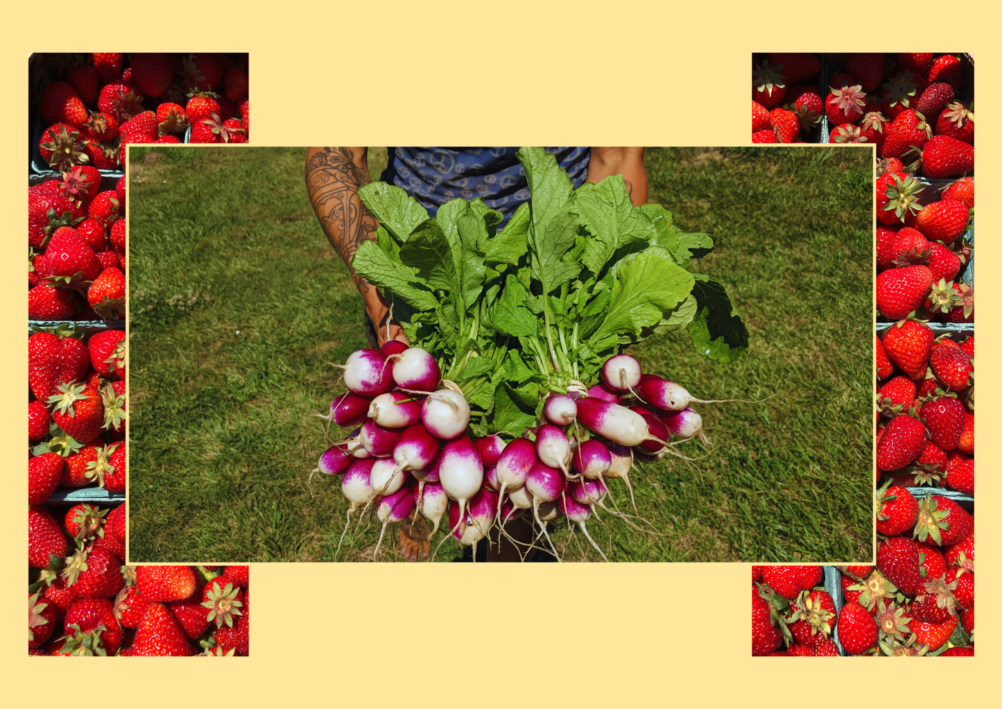 2025 Calendar & Seasonal Planting Guide by Saanich Organics