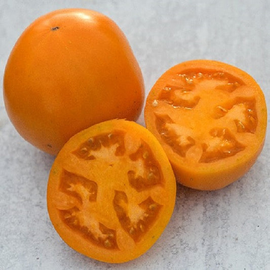 Orange-You-Glad Tomato