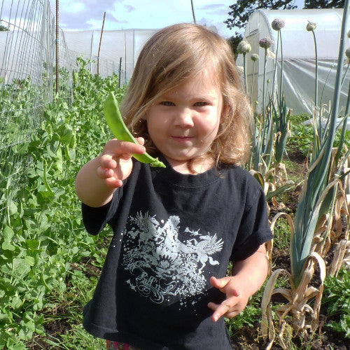 Oregon Giant Snow Pea