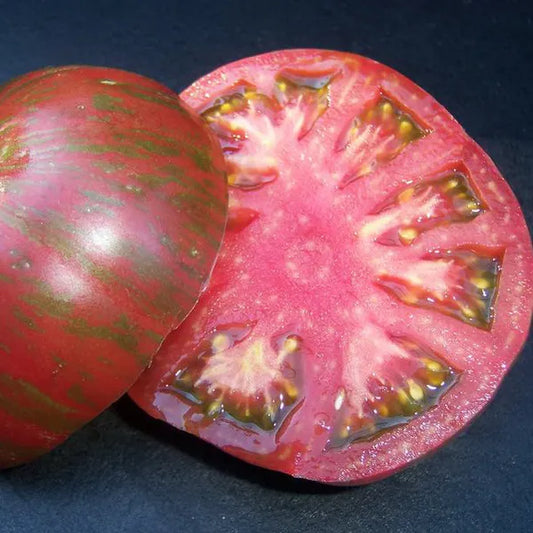 Berkeley Pink Tiedye Tomato