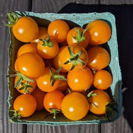 Soleil Orange Cherry Tomato