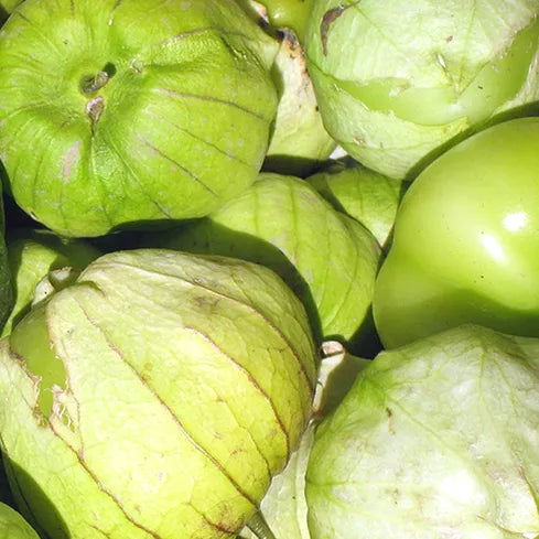 Toma Verde Tomatillo