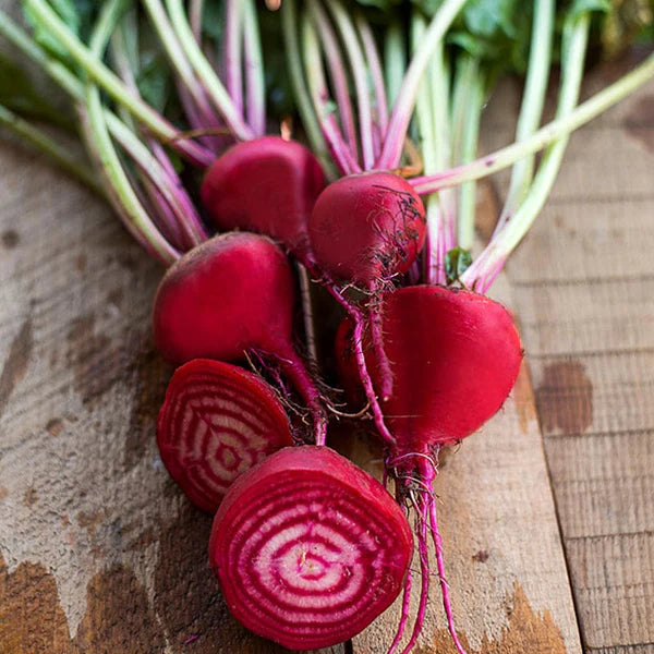 Chioggia "Candy Striped" Beets
