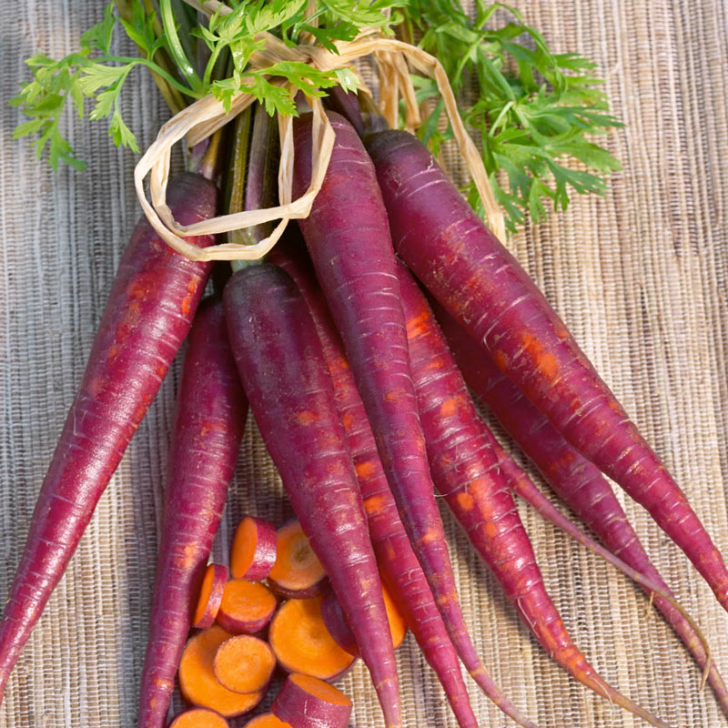 Cosmic Purple Carrot