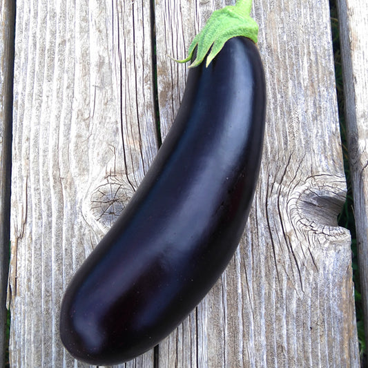 Diamond Eggplant