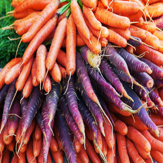 Rainbow Carrot Mixed Pack