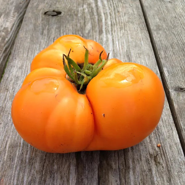 Yellow Brandywine Tomato