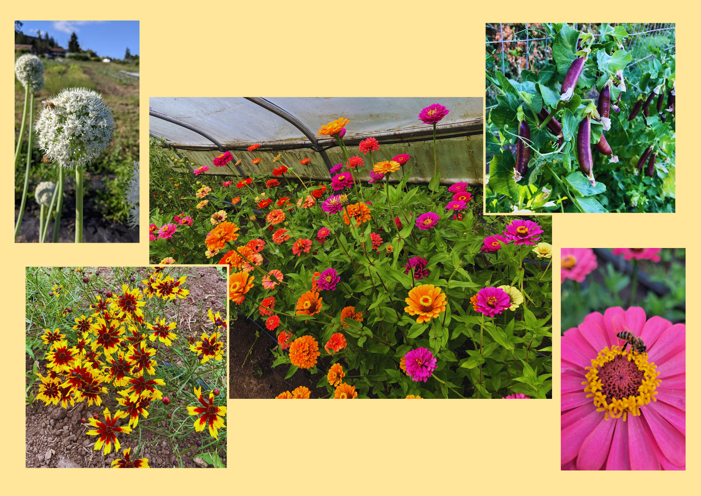 2025 Calendar & Seasonal Planting Guide